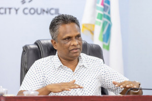 ސިނަމާލެ ފްލެޓްތަކުގެ ޑިޒައިން ކޮންސެޕްޓް ފާސްކޮށްފި