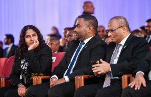 ދެ ފަނޑިޔާރުން މަގާމުން ވަކިކުރަން މަޖިލީހުން ފާސްކޮށްފި