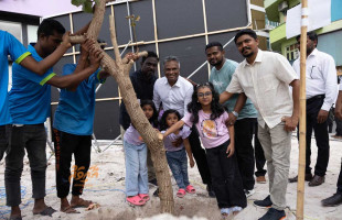 މާފަންނު މައިޒާނު ގައި ގަސް އިންދުމުގެ ހަރަކާތެއް