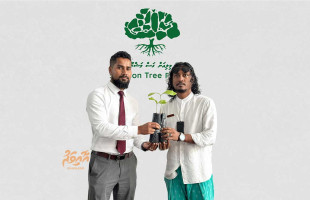 5 މިލިއަން ގަސް ޕްރޮގްރާމް: ލަންކާ އިން ހަދިޔާކުރި ހައިވަކަރު ގަސްތައް ރިސޯޓުތަކަށް ބަހަން ފަށައިފި