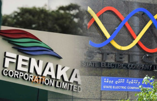 ސްޓެލްކޯ އާއި ފެނަކައިގެ މެއި މަހުގެ ބިލު އަގުހެޔޮވާނެ