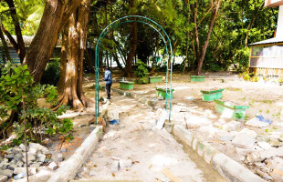 ވިލިމާލޭގައި ޕާކެއް ތަރައްގީކުރުމުގެ މަސައްކަތް ފަށައިފި