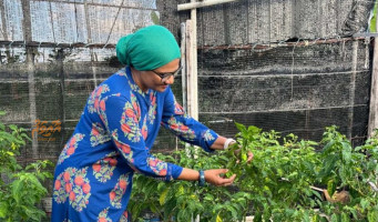 ގޭގައި އަމިއްލައަށް އުފައްދާ ކާބޯތަކެތީގެ ފައިދާތައް ވަރަށް ގިނަ: މިނިސްޓަރ