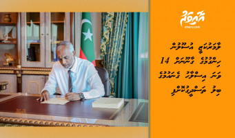 ލާމަރުކަޒީ އުސޫލުން ހިންގުމުގެ ގާނޫނަށް 14 ވަނަ އިސްލާހު ގެނައުމުގެ ބިލު ތަސްދީގުކޮށްފި