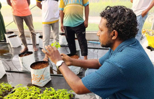 ނަރުދޫ ގްރީން ހައުސް ޓެކްނިކަލް ތަމްރީނު ކުރިއަށް ގެންގޮސްފި