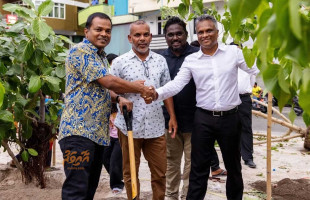 މާލެ ސިޓީ ކައުންސިލުން 6 މަސްތެރޭ 4500 ގަސް އިންދައިފި