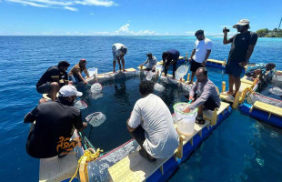 މެރިން ހެޗަރީ ސްކިލްސް ޑިވެލޮޕްމެންޓް ޕްރޮގްރާމުގެ 2 ވަަނަ ބުރު އޮކްޓޯބަރ މަހު