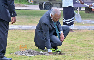 އުތީމު އިސްރަށްވެހީންގެ މައިޒާން ހުޅުވައި، ބޮޑުތަކުފާނު ދޮރޯށީގެ ބިންގާ އަޅައިފި