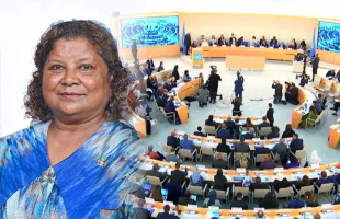 އ.ދ. ގެ އިންސާނީ ހައްގުތަކާ ބެހޭ މަޖިލީހުގެ ނައިބު ރައީސްގެ މަގާމަށް ރާއްޖެ