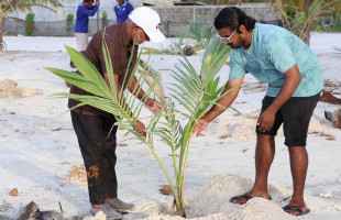 މިނިސްޓަރގެ އިލްތިމާސާއެކު، 3 ރަށެއްގައި 60 ރުއް އިންދައިފި