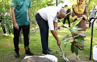 ރައީސްގެ 5 މިލިއަން ގަސް އިންދުމުގެ ހަރަކާތް ކަނޑުހުޅުދޫގައި ފެށުމަށް މަޝްވަރާކޮށްފި