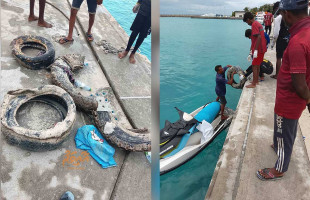 ތޮއްޑޫ ސާފުކުރުމުގެ ހަރަކާތުގައި 3 ޓަނުގެ ކުނި ނެގި